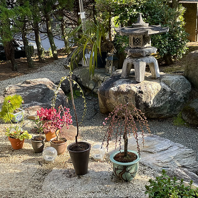 shin0719さんの実例写真