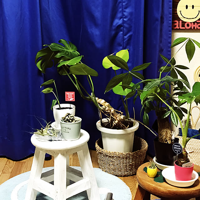 yuさんの実例写真