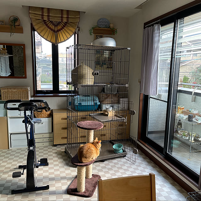 kikiさんの実例写真