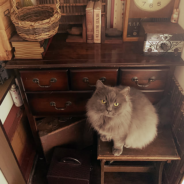 mecchaさんの実例写真