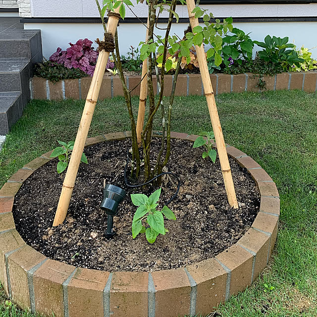 oyatsuさんの実例写真