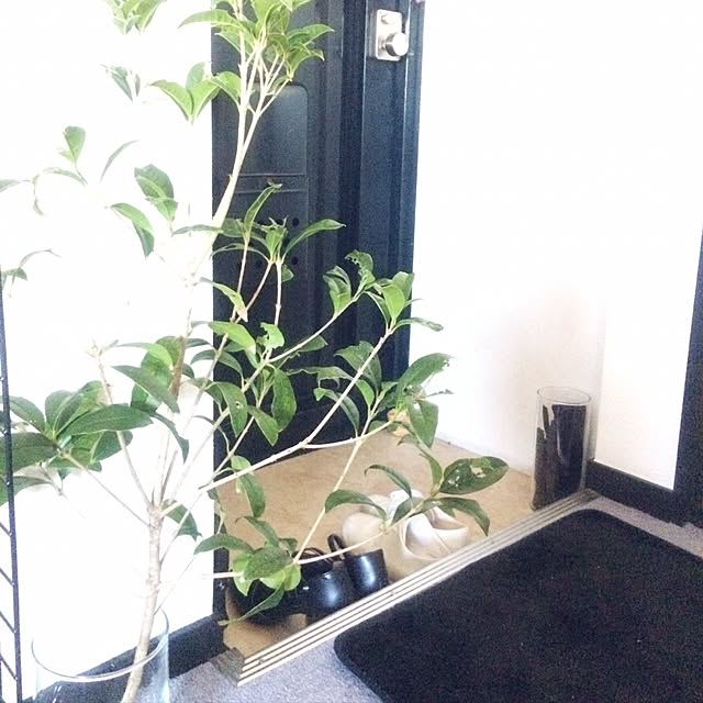 Onettoさんの実例写真