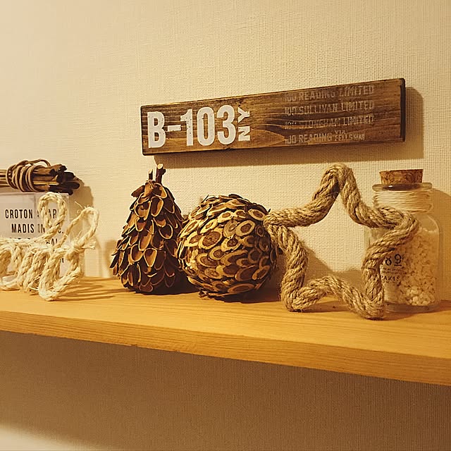 ElliottLeopard4523さんの実例写真