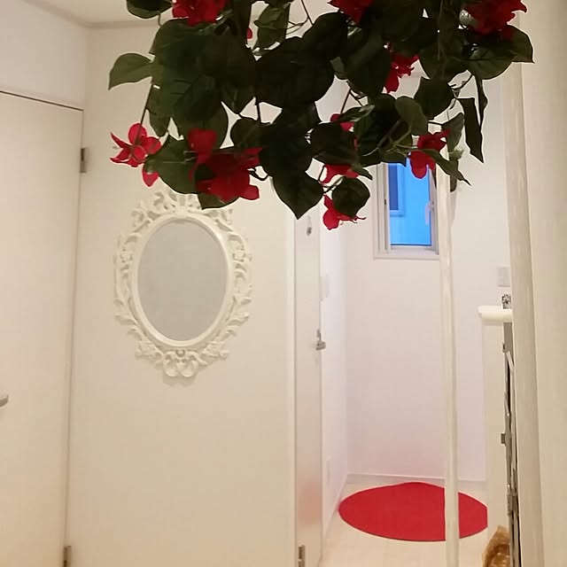 runayucoさんの実例写真
