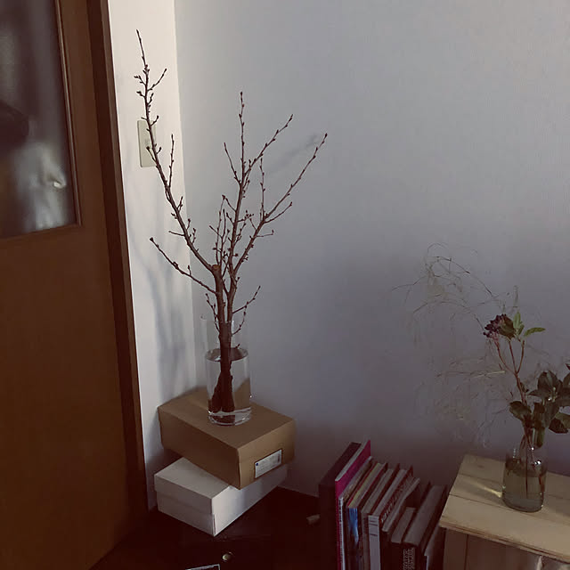 shimoさんの実例写真