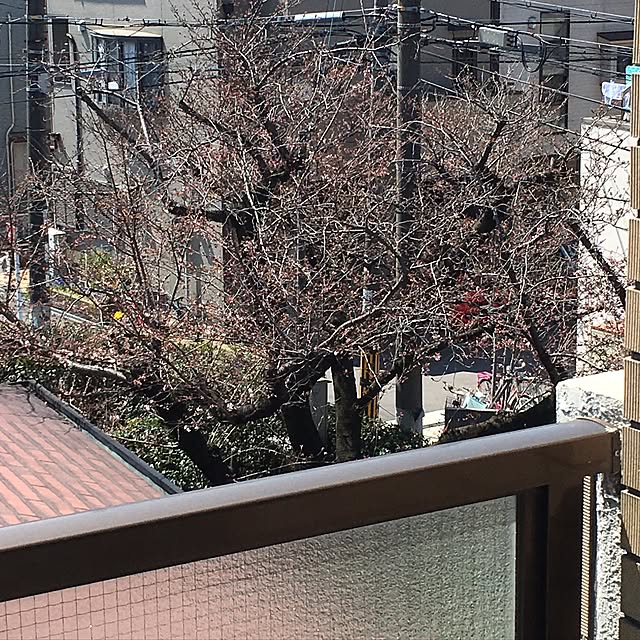 sachiyo0915さんの実例写真