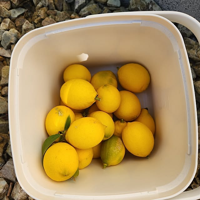 Takuyaさんの部屋