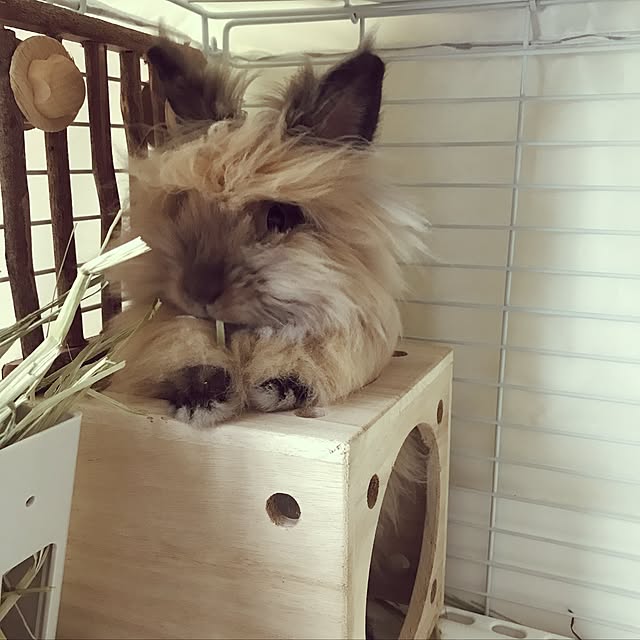 mさんの実例写真