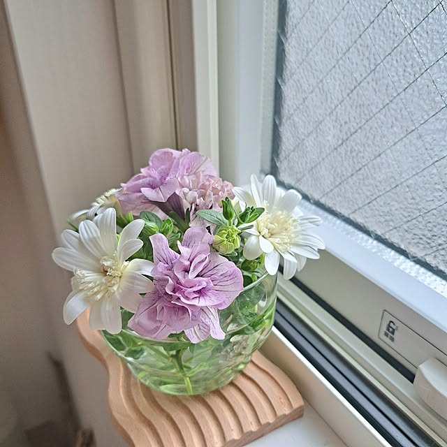 壁/天井/朝活/お花のある暮らし/オステオスペルマム/ペチュニアパニエ...などのインテリア実例 - 2025-05-20 16:46:52