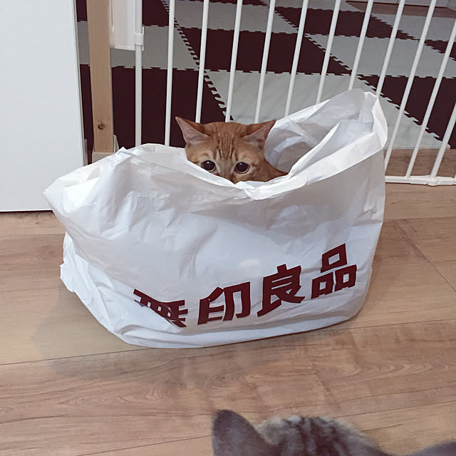 funikoさんの実例写真