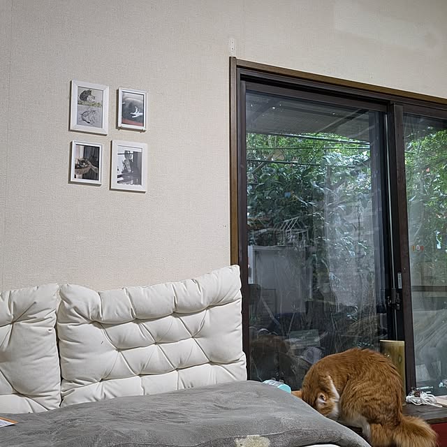 mori_6_12さんの部屋