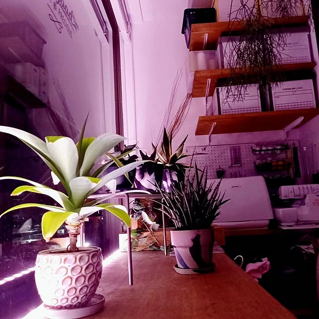 Rさんの部屋