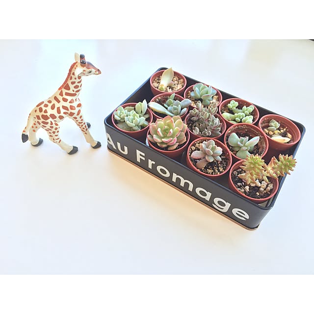 tanickeysさんの実例写真