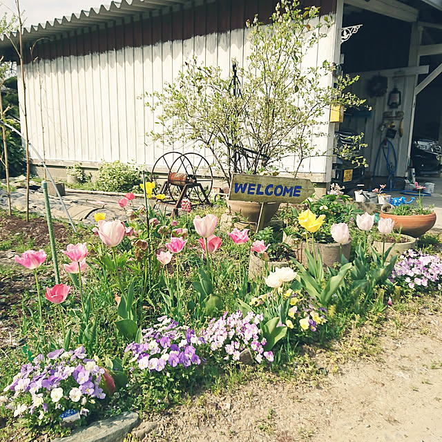 koppeさんの実例写真