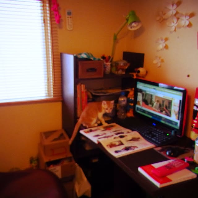 chocolinaさんの実例写真