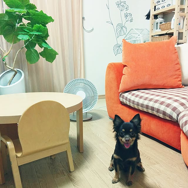 miyuさんの実例写真