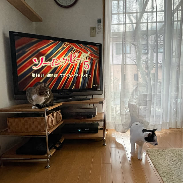 nobikoさんの実例写真