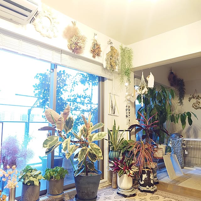 maikeru.3384さんの部屋