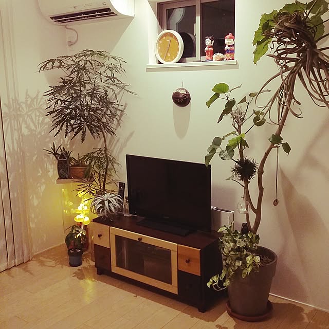 greenskyさんの実例写真