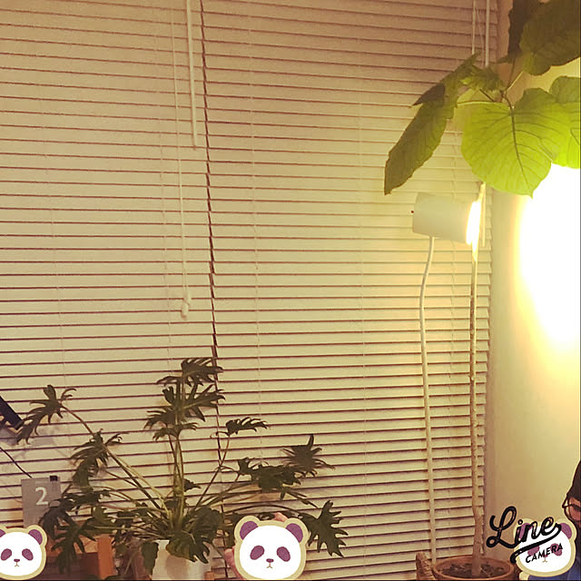 makisoraさんの実例写真