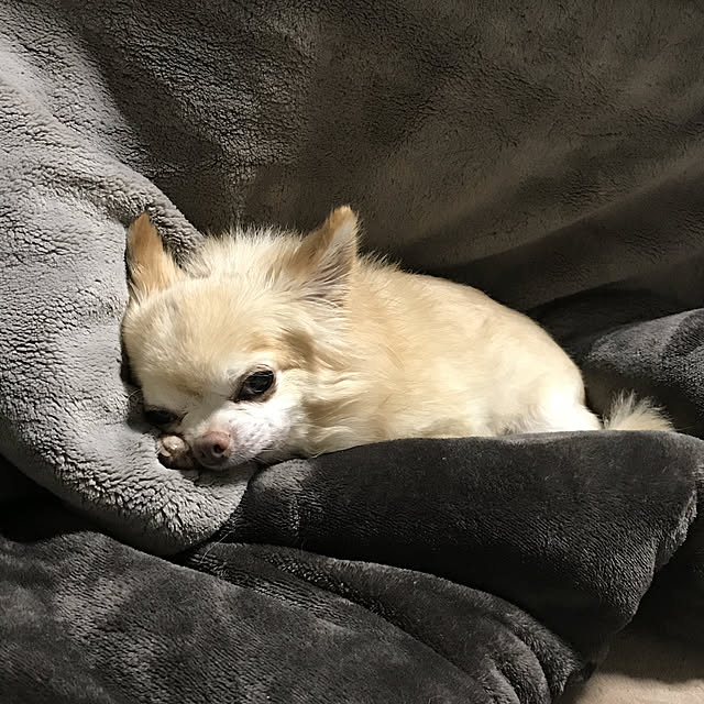 MIUさんの実例写真