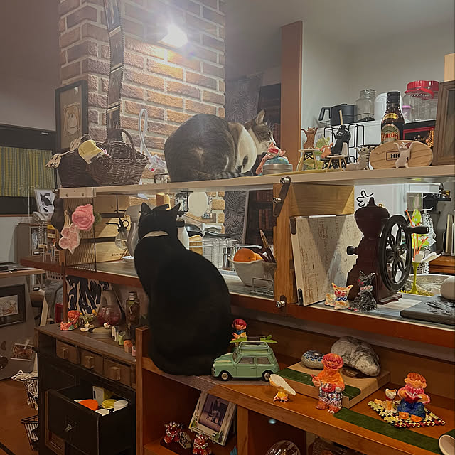 jijiさんの実例写真