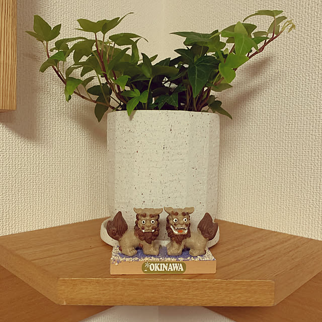 tachashさんの実例写真