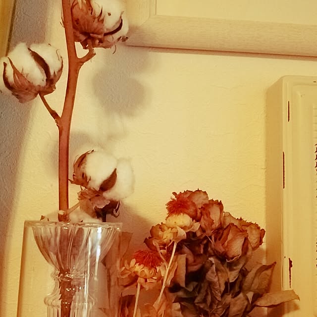 moomin.mamaさんの実例写真