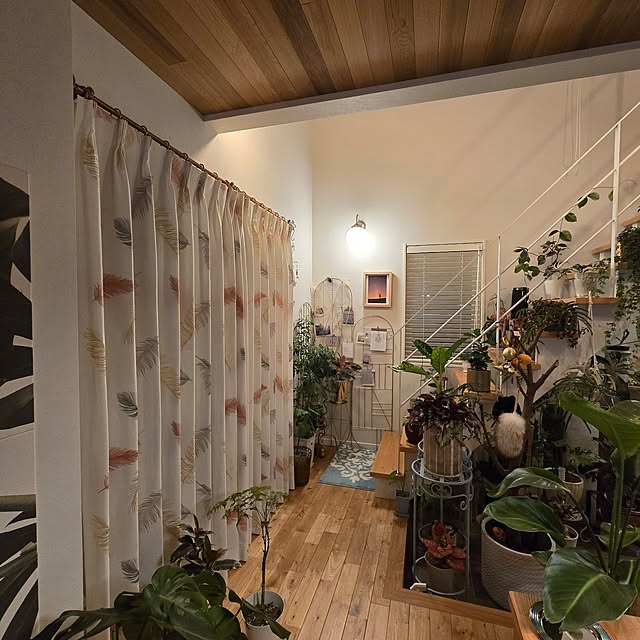 nonbiri_house_さんの部屋