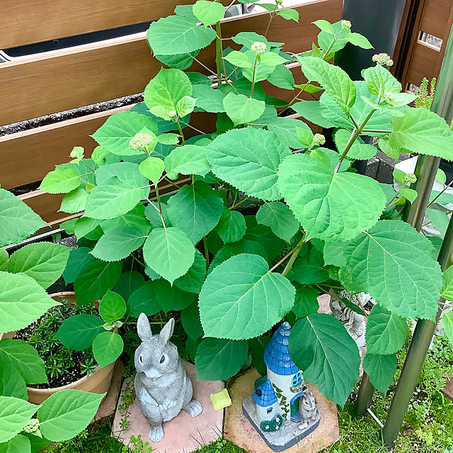 haruminさんの部屋
