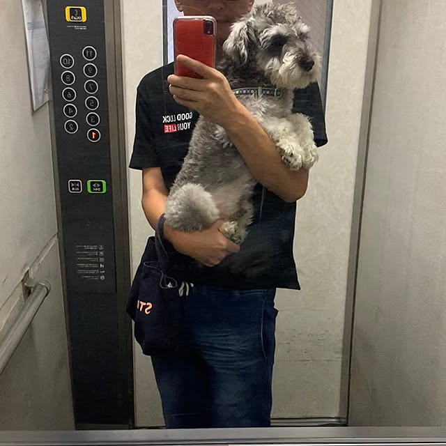 実例写真