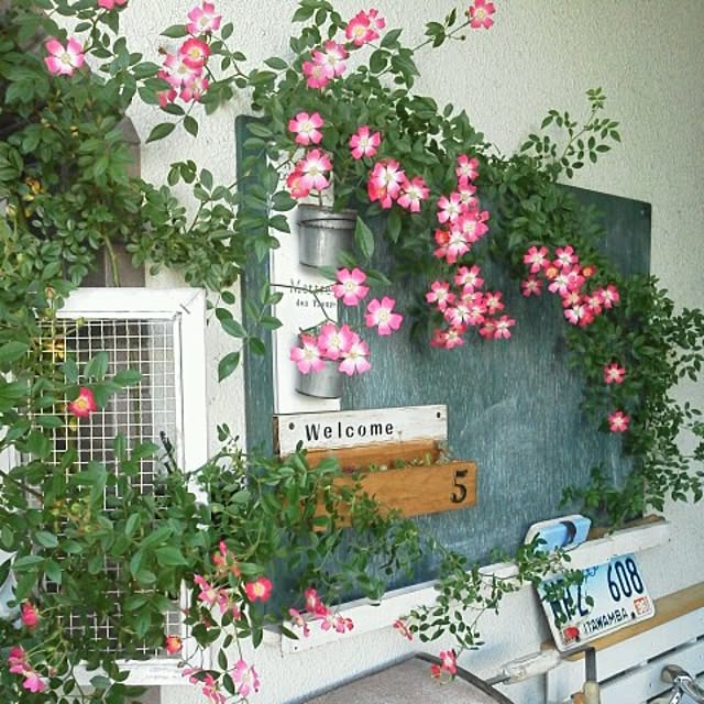 mikiさんの実例写真