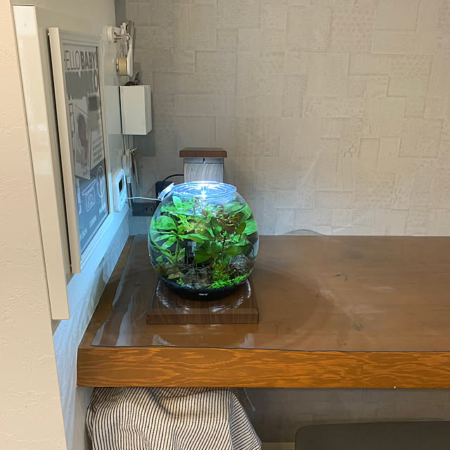 Minteaさんの部屋