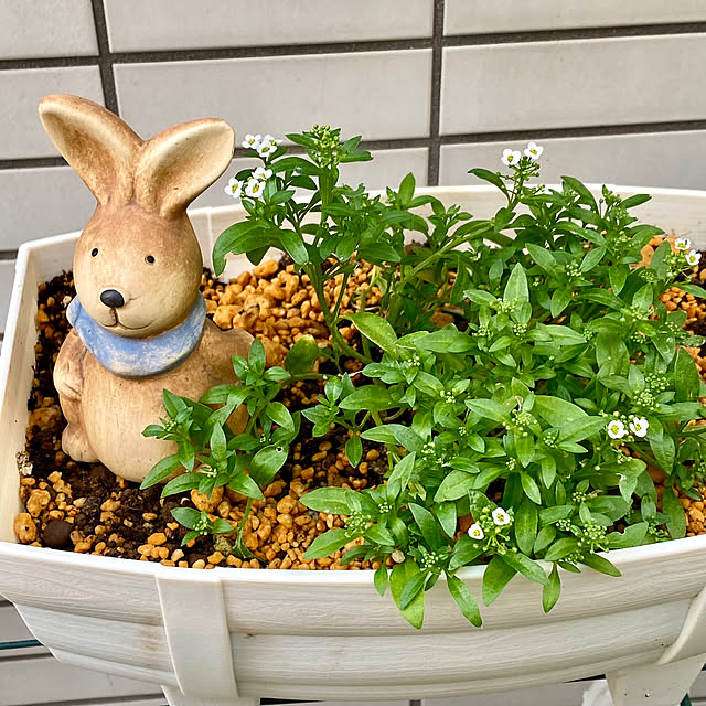 YuuKoさんの部屋