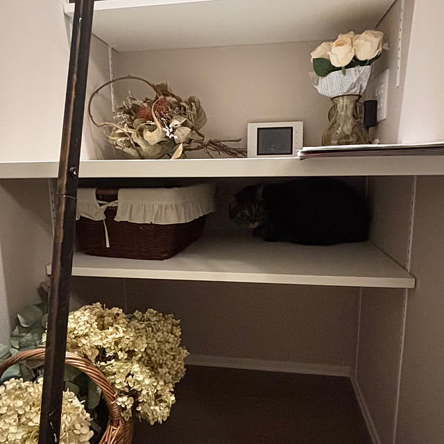 momocchiさんの部屋