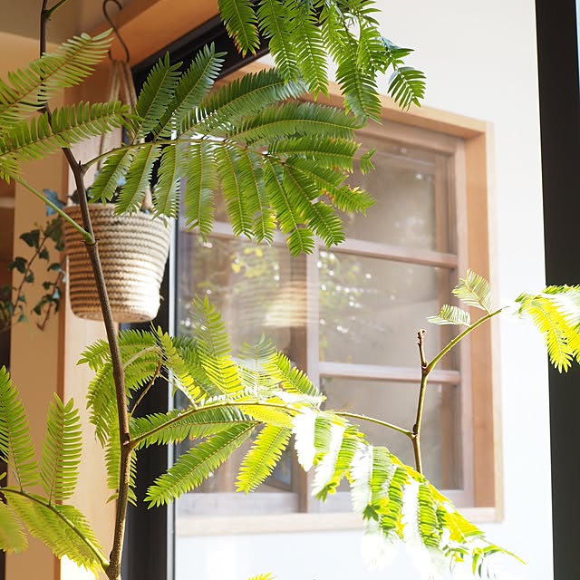 entaromaruさんの実例写真
