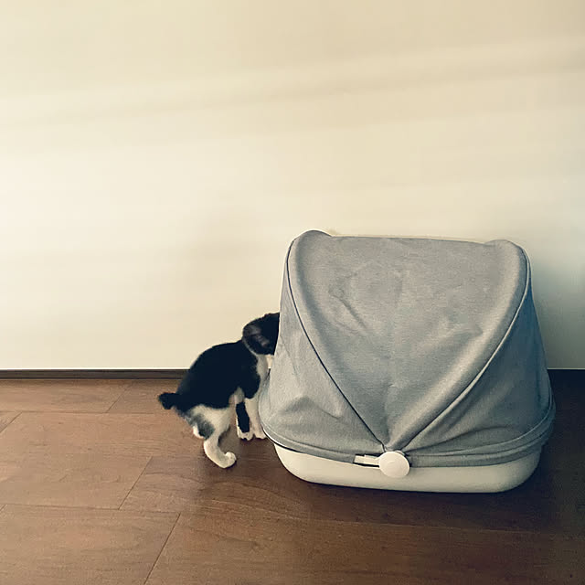 porinさんの実例写真