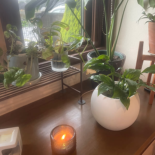 umomさんの部屋