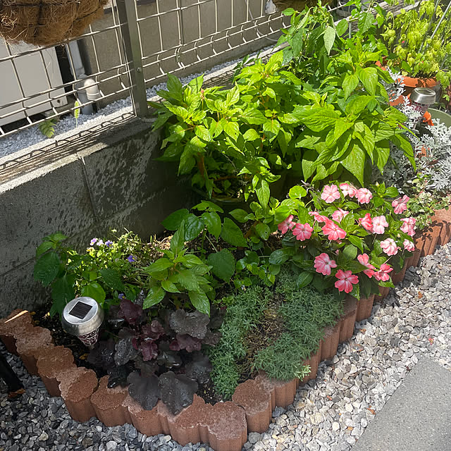 ikuzakさんの実例写真
