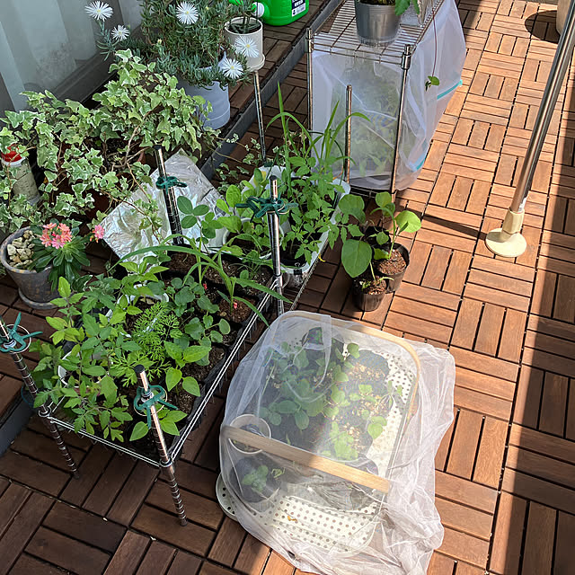 shufu1okukoさんの実例写真