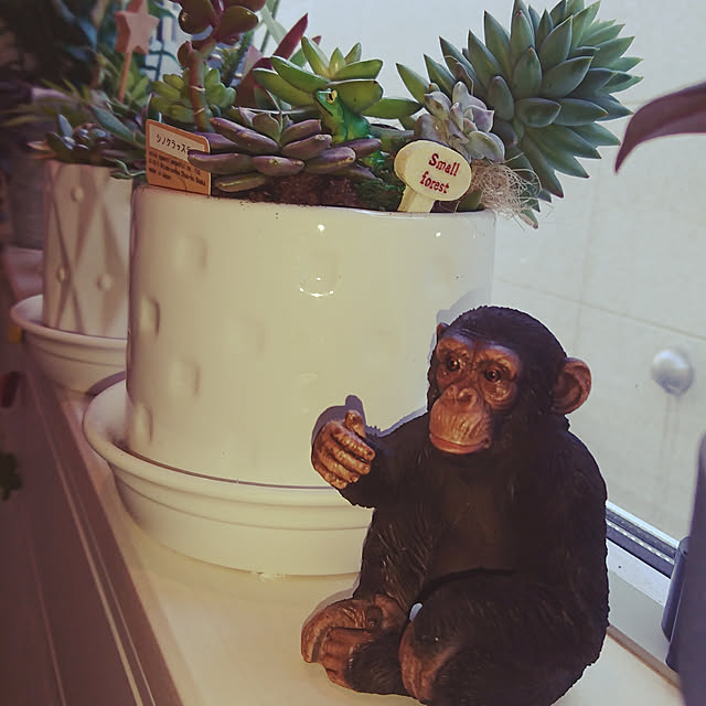 Rieさんの実例写真