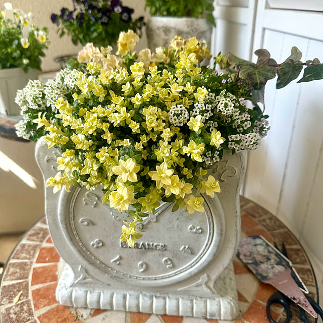 cocoさんの実例写真