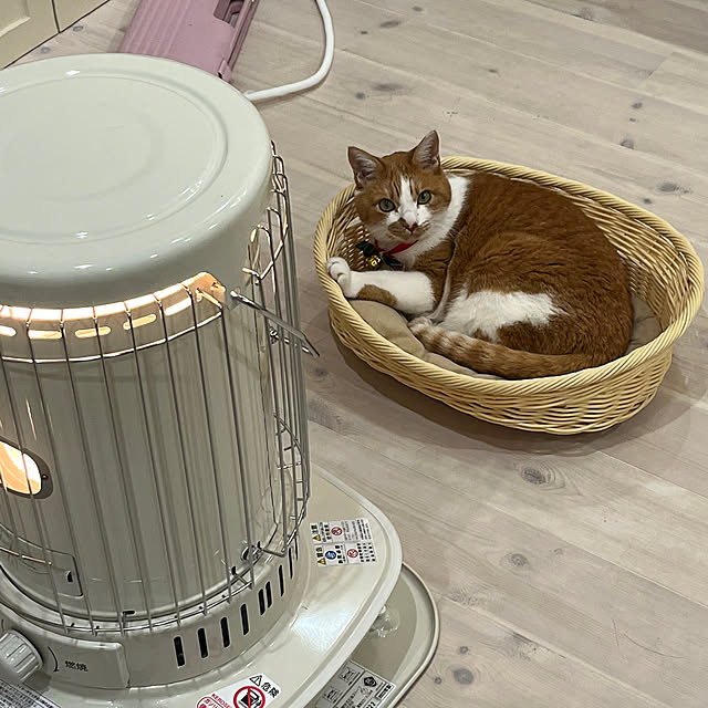 sakuraさんの部屋