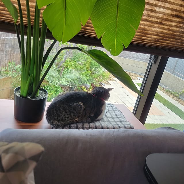 natuさんの部屋