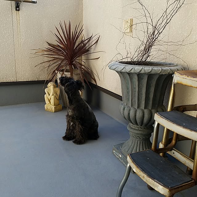 emiさんの実例写真