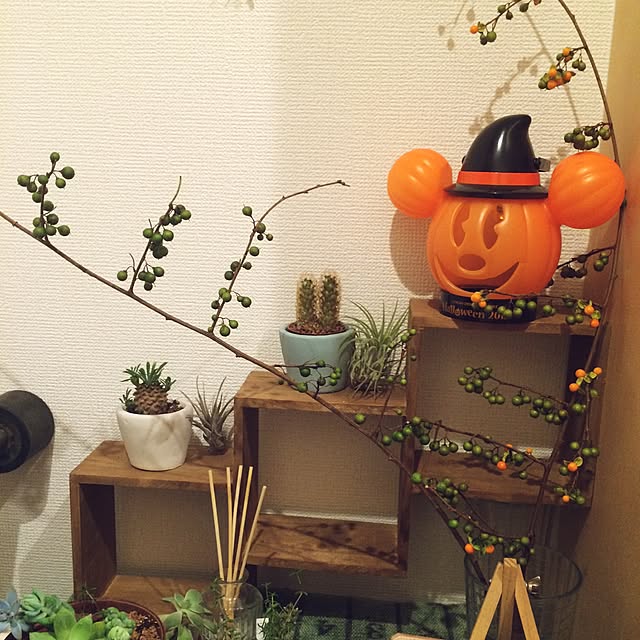 Ayakoさんの実例写真
