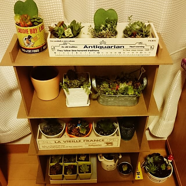 Hiromiさんの実例写真