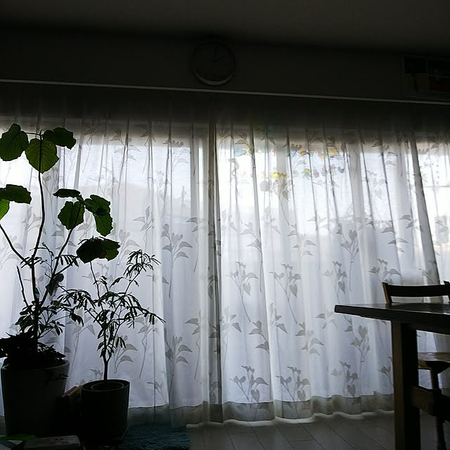 hiromimiさんの実例写真