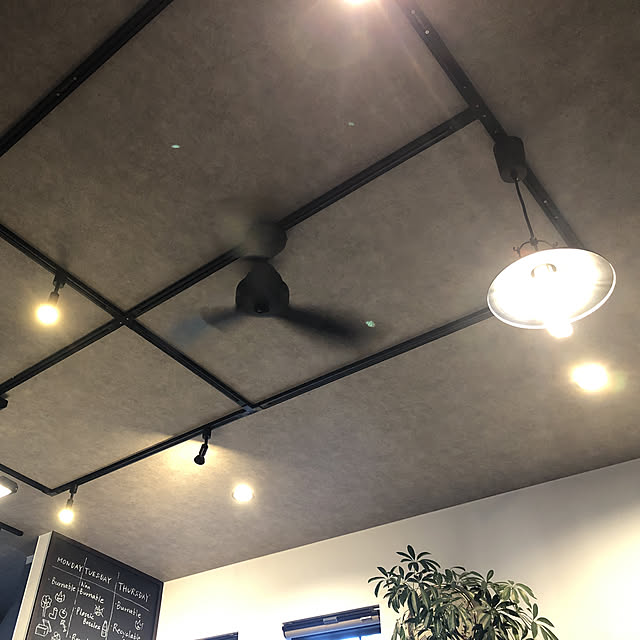 壁/天井のインテリア実例 - 2019-05-07 18:15:01
