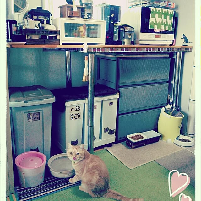 mntcさんの実例写真